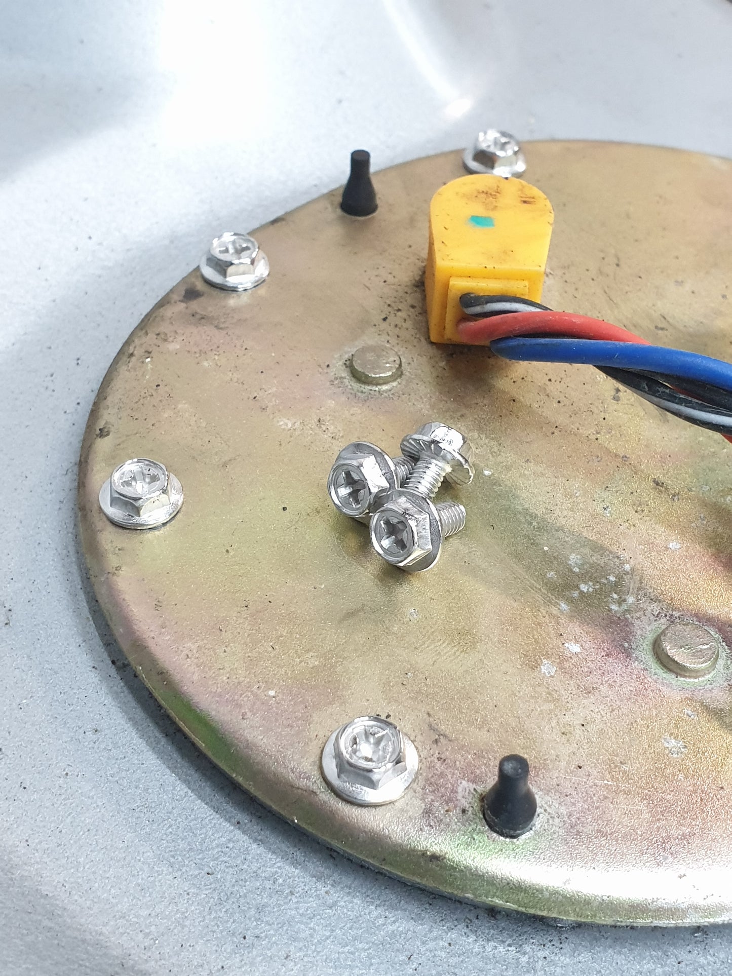 Upgraded Fuel Pump / Sending Unit Screws (8 pack)